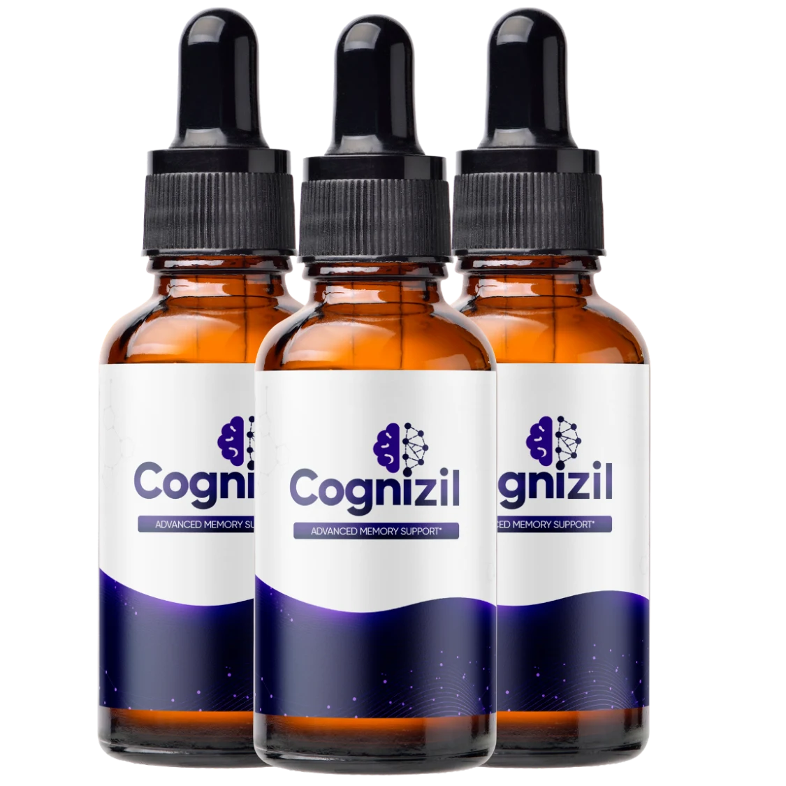 CogniZil Brain & Cognitive Wellness Supplement